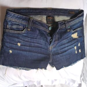 Vintage Genetic Denim Harper denim shorts